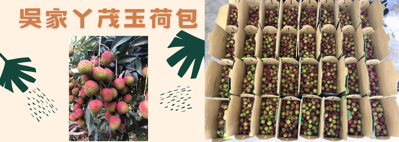 玉荷包荔枝,玉荷包,荔枝#玉荷包荔枝,玉荷包,荔枝